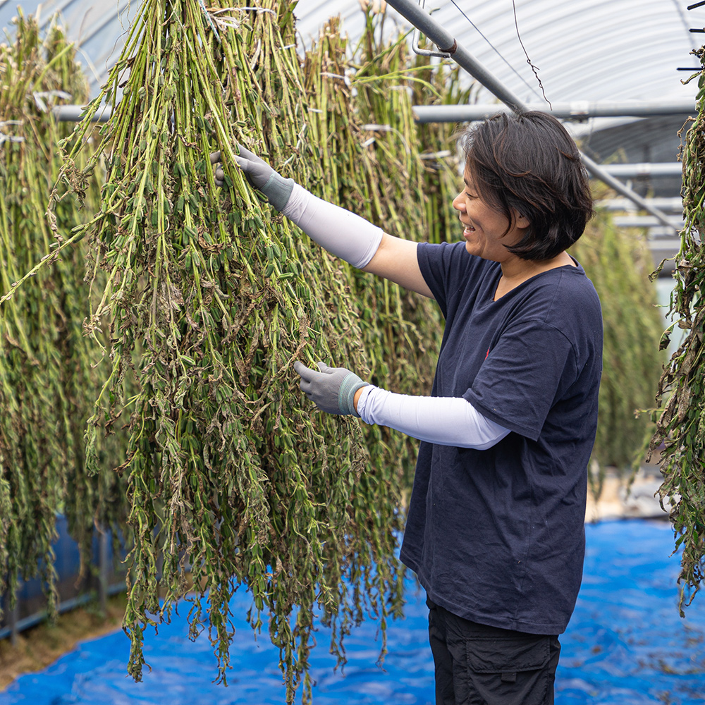 24년 국산 참깨 지리산 생참깨 1kg